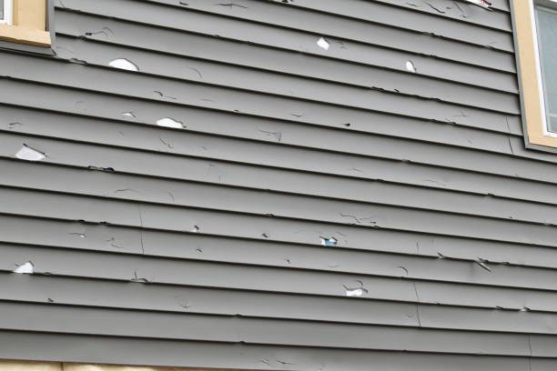 Best Garage Cleanout  in Dolgeville, NY
