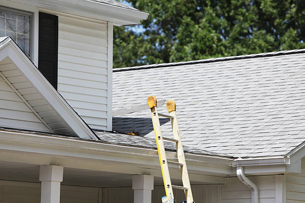 Best Demolition Debris Removal  in Dolgeville, NY